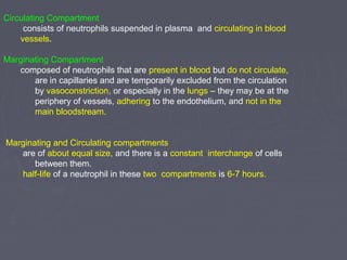 Circulating Compartment 
consists of neutrophils suspended in plasma and circulating in blood 
vessels. 
Marginating Compartment 
composed of neutrophils that are present in blood but do not circulate, 
are in capillaries and are temporarily excluded from the circulation 
by vasoconstriction, or especially in the lungs – they may be at the 
periphery of vessels, adhering to the endothelium, and not in the 
main bloodstream. 
Marginating and Circulating compartments 
are of about equal size, and there is a constant interchange of cells 
between them. 
half-life of a neutrophil in these two compartments is 6-7 hours. 
 