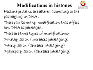 Modifications in histones
Histone proteins are altered according to the
packaging in DNA .
There can be many modification that affect
how DNA is packaged.
There are three types of modifications-
>methylation (increases packaging)
>acetylation (decrease packaging)
>phosporylation (decrease packaging)
 