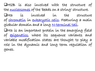 H2B is also involved with the structure of
the nucleosomes of the 'beads on a string' structure.
H3 is involved in the structure
of chromatin in eukaryotic cells. Featuring a main
globular domain and a long N-terminal tail.
H3 is an important protein in the emerging field
of epigenetics, where its sequence variants and
variable modification states are thought to play a
role in the dynamic and long term regulation of
genes.
 