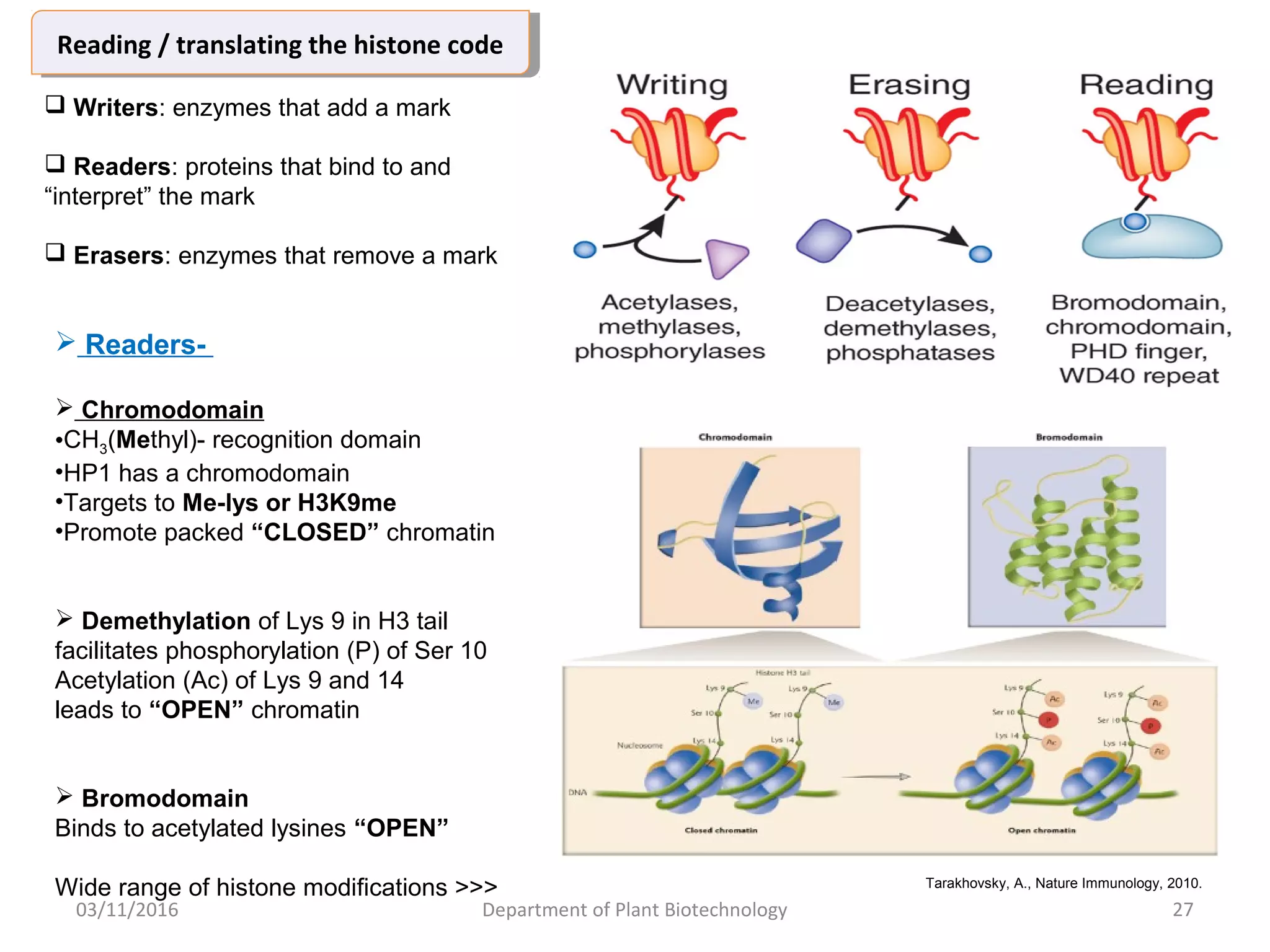 Histone modification in living cells | PPT