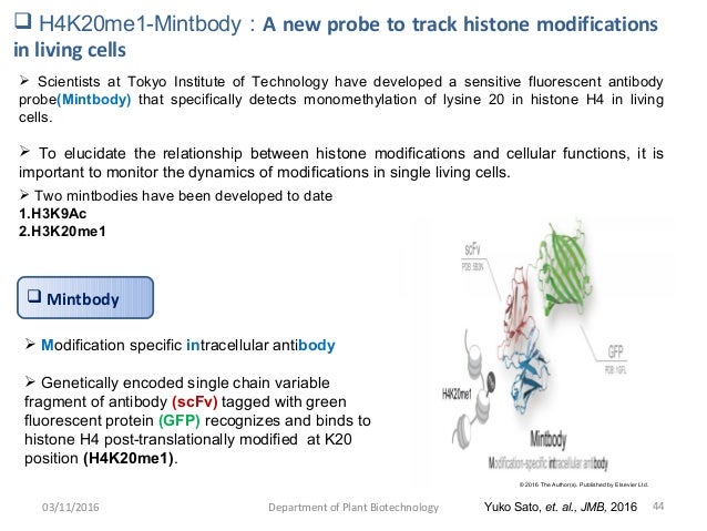histone modification in living cells histone modification
