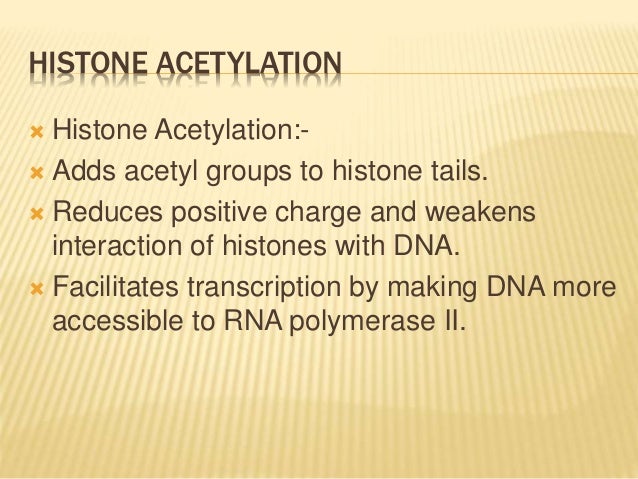 histone modifications