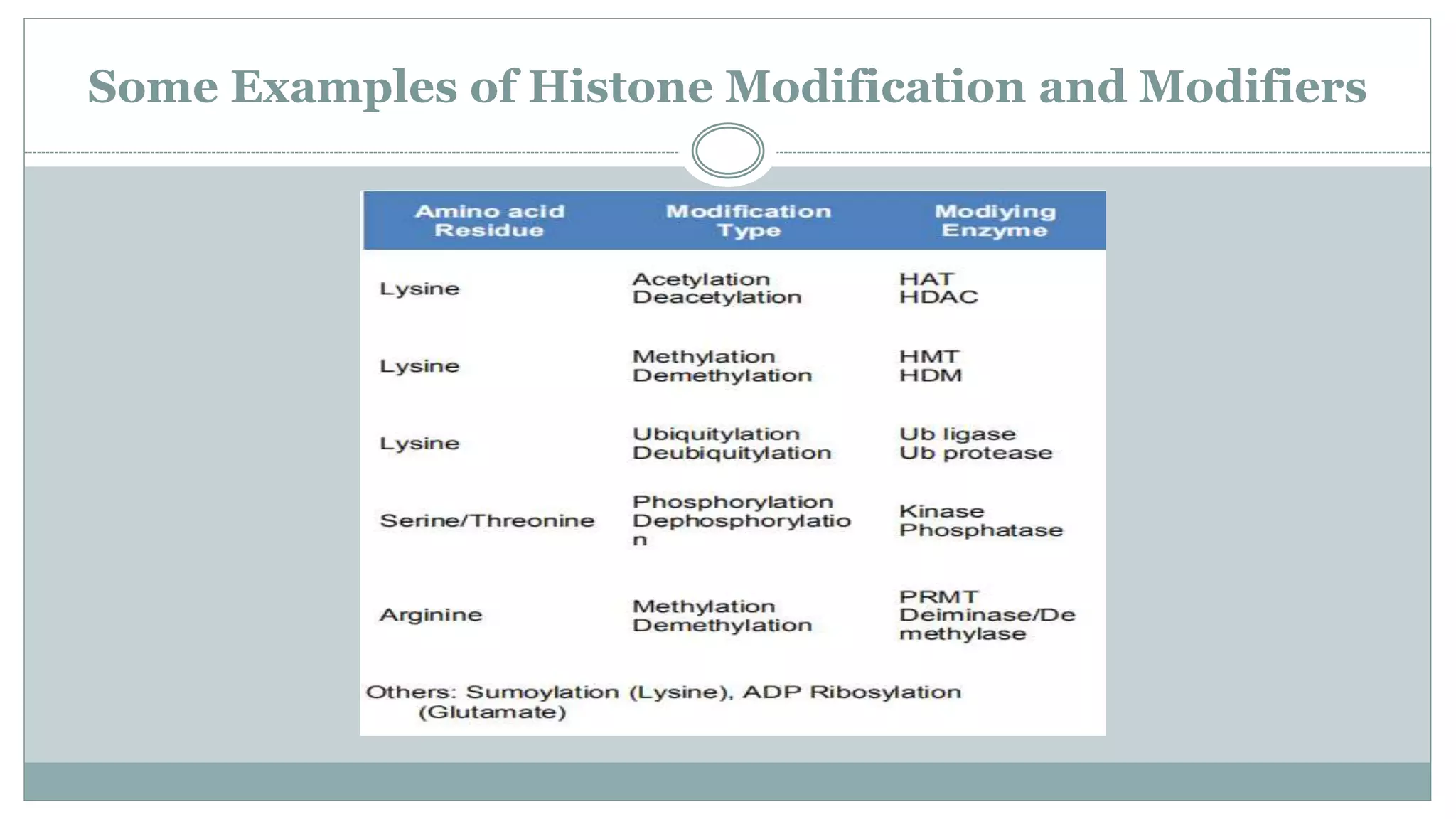 Some Examples of Histone Modification and Modifiers
 