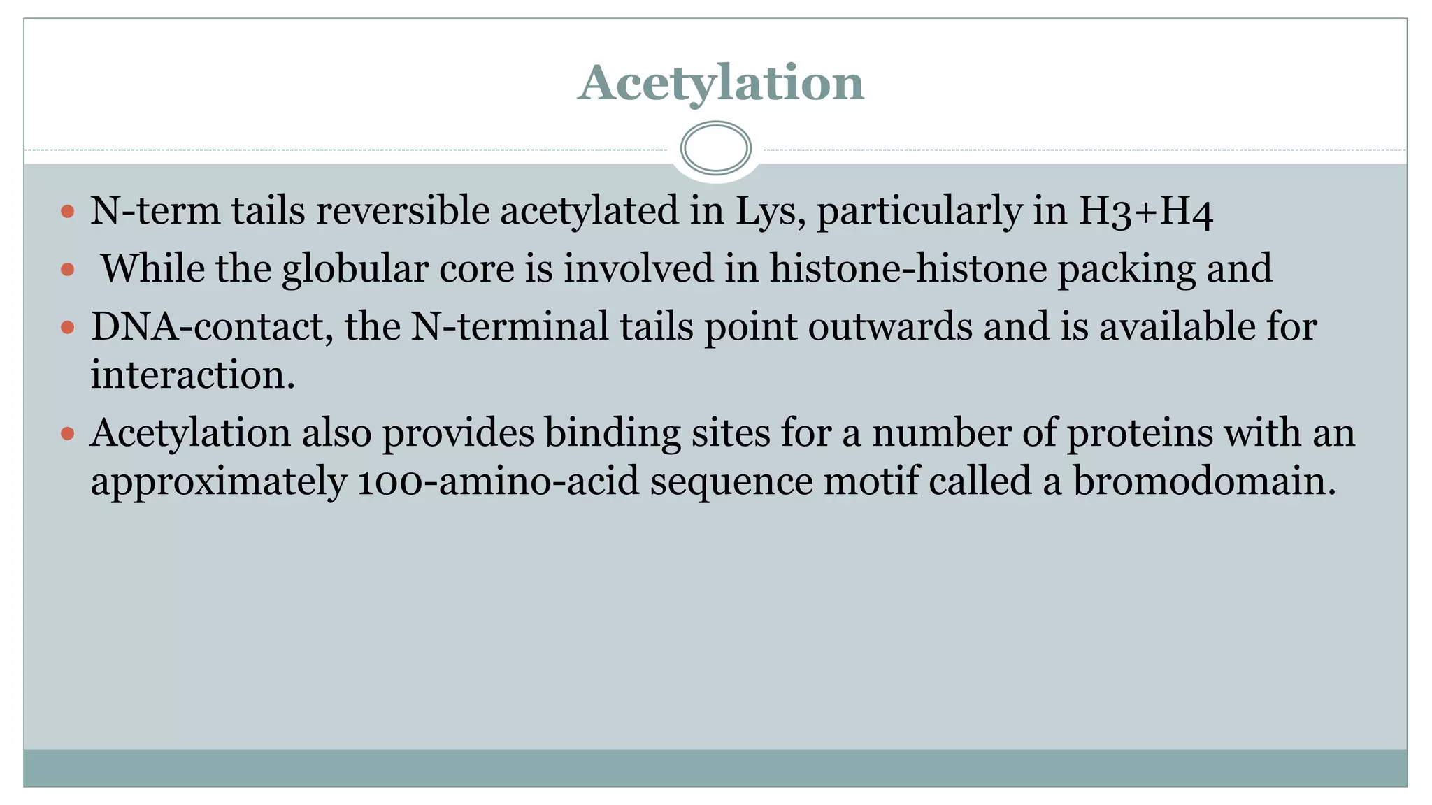 Acetylation
 N-term tails reversible acetylated in Lys, particularly in H3+H4
 While the globular core is involved in histone-histone packing and
 DNA-contact, the N-terminal tails point outwards and is available for
interaction.
 Acetylation also provides binding sites for a number of proteins with an
approximately 100-amino-acid sequence motif called a bromodomain.
 