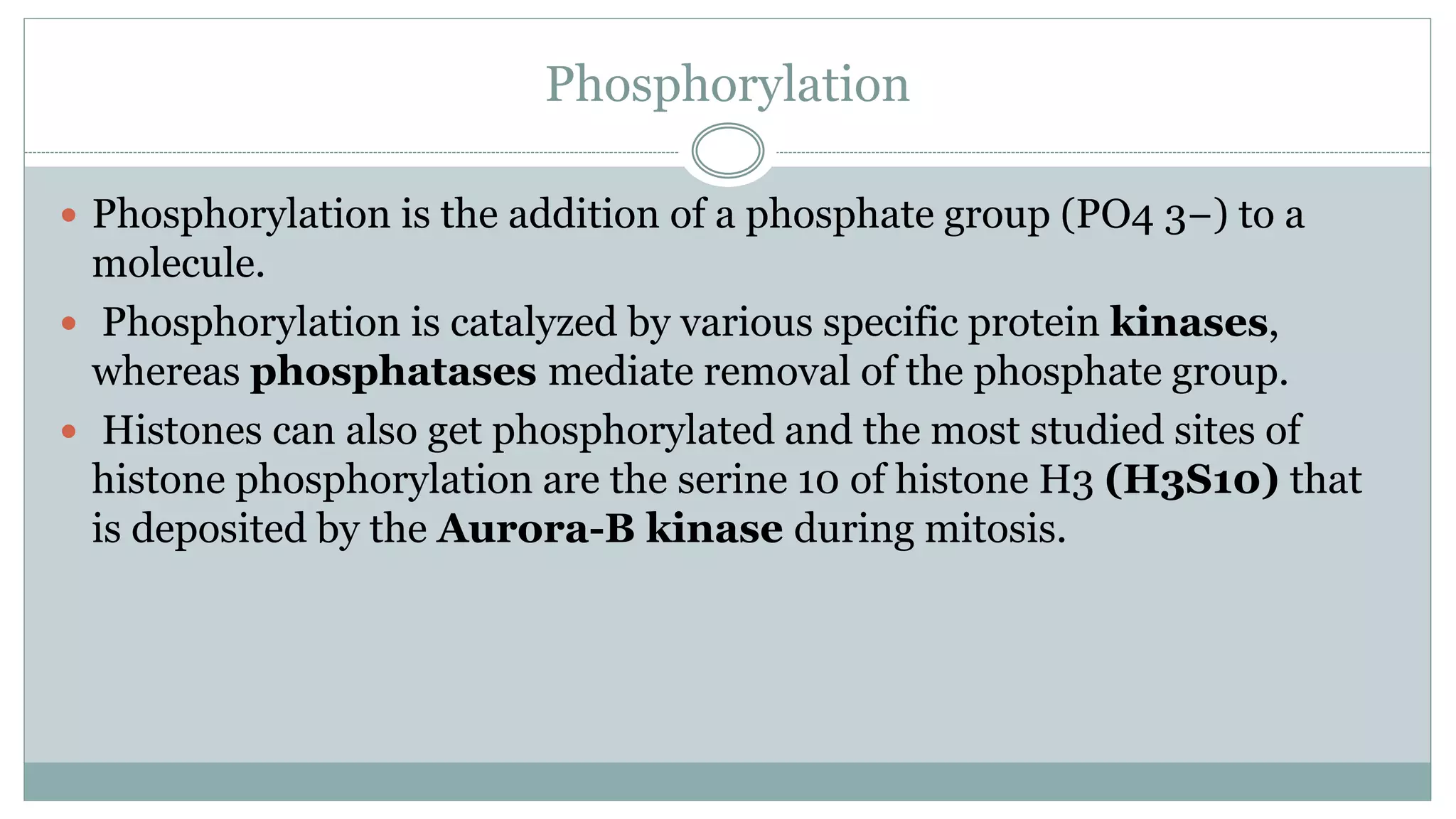 Phosphorylation
 Phosphorylation is the addition of a phosphate group (PO4 3−) to a
molecule.
 Phosphorylation is catalyzed by various specific protein kinases,
whereas phosphatases mediate removal of the phosphate group.
 Histones can also get phosphorylated and the most studied sites of
histone phosphorylation are the serine 10 of histone H3 (H3S10) that
is deposited by the Aurora-B kinase during mitosis.
 