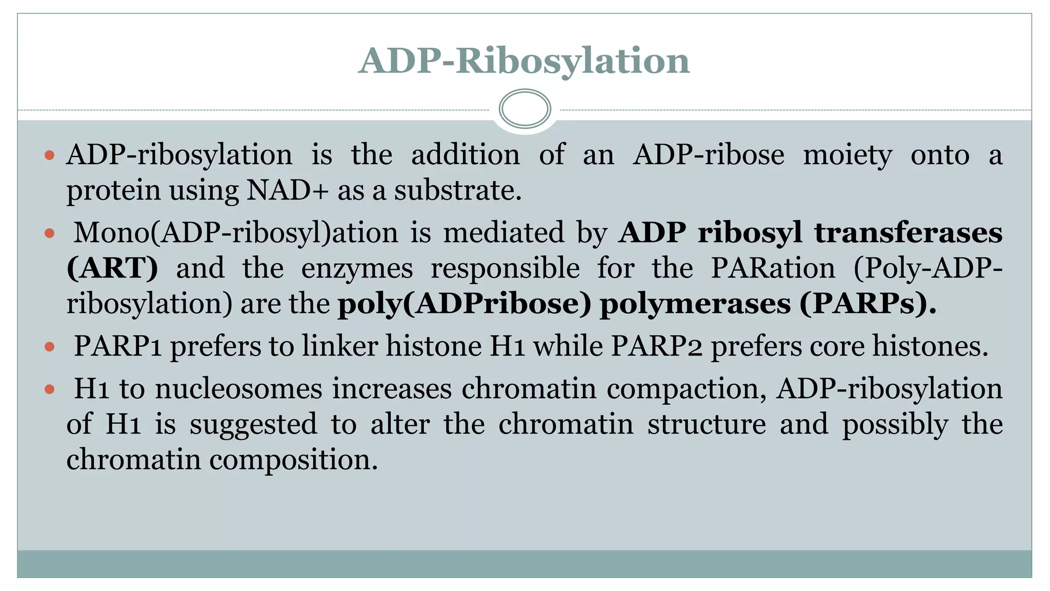 ADP-Ribosylation
 ADP-ribosylation is the addition of an ADP-ribose moiety onto a
protein using NAD+ as a substrate.
 Mono(ADP-ribosyl)ation is mediated by ADP ribosyl transferases
(ART) and the enzymes responsible for the PARation (Poly-ADP-
ribosylation) are the poly(ADPribose) polymerases (PARPs).
 PARP1 prefers to linker histone H1 while PARP2 prefers core histones.
 H1 to nucleosomes increases chromatin compaction, ADP-ribosylation
of H1 is suggested to alter the chromatin structure and possibly the
chromatin composition.
 