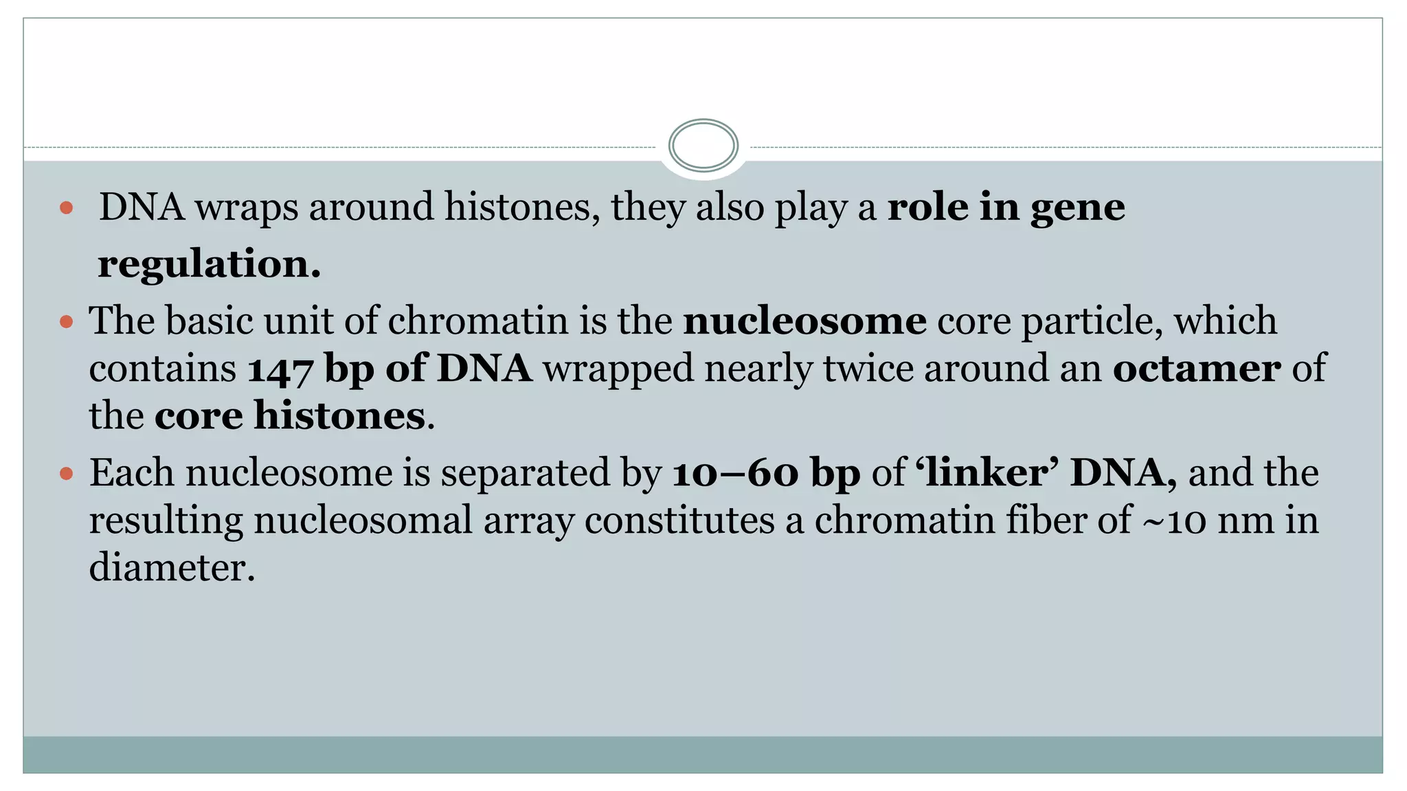  DNA wraps around histones, they also play a role in gene
regulation.
 The basic unit of chromatin is the nucleosome core particle, which
contains 147 bp of DNA wrapped nearly twice around an octamer of
the core histones.
 Each nucleosome is separated by 10–60 bp of ‘linker’ DNA, and the
resulting nucleosomal array constitutes a chromatin fiber of ~10 nm in
diameter.
 