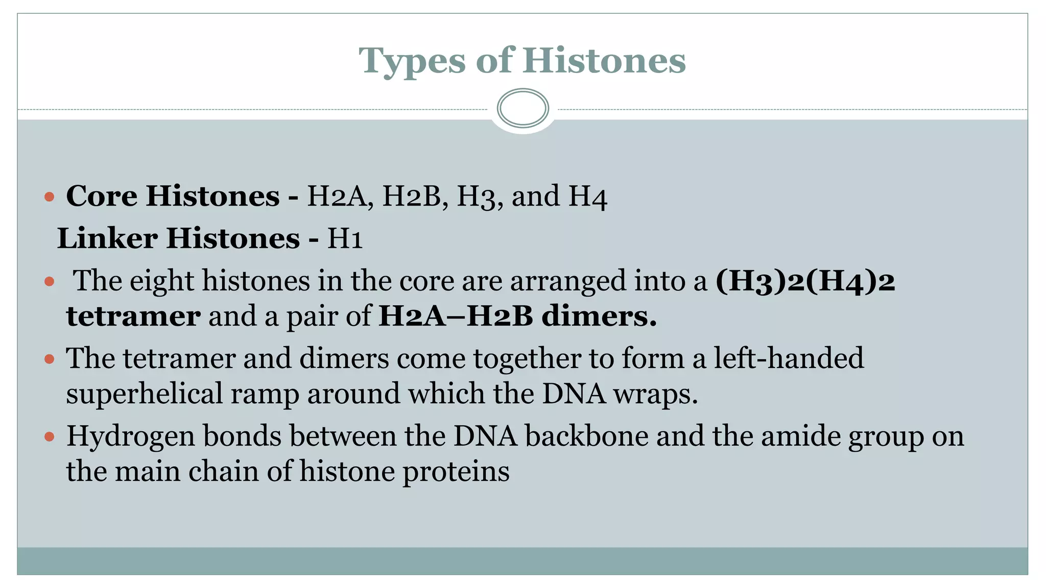 Types of Histones
 Core Histones - H2A, H2B, H3, and H4
Linker Histones - H1
 The eight histones in the core are arranged into a (H3)2(H4)2
tetramer and a pair of H2A–H2B dimers.
 The tetramer and dimers come together to form a left-handed
superhelical ramp around which the DNA wraps.
 Hydrogen bonds between the DNA backbone and the amide group on
the main chain of histone proteins
 