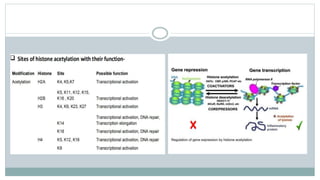 Histone modifications | PPTX