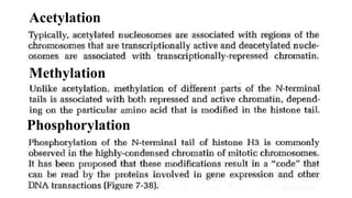 Acetylation
Methylation
Phosphorylation
 