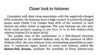 Closer look to histones
 