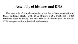 Assembly of histones and DNA
 