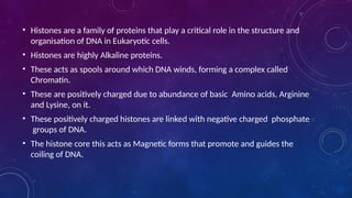 • Histones are a family of proteins that play a critical role in the structure and
organisation of DNA in Eukaryotic cells.
• Histones are highly Alkaline proteins.
• These acts as spools around which DNA winds, forming a complex called
Chromatin.
• These are positively charged due to abundance of basic Amino acids, Arginine
and Lysine, on it.
• These positively charged histones are linked with negative charged phosphate
groups of DNA.
• The histone core this acts as Magnetic forms that promote and guides the
coiling of DNA.
 