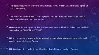  The eight histones in the core are arranged into a H3 H4 tetramer and a pair of
H2A-H2B dimers.
 The tetramer and dimers come together to form a left-handed super helical
ramp around which the DNA wraps.
 Histone H1 is not a part of the Nucleosome core. It binds to linker DNA and it is
referred to as “ LINKER HISTONE”.
 H2 and H3 plays a major role in determing overall structure of chromatin and
longterm regulation of Genes.
 H4 is subject to covalent modification, that alter expression of genes.
 