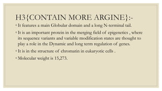 H3{CONTAIN MORE ARGINE}:-
◦ It features a main Globular domain and a long N-terminal tail.
◦ It is an important protein in the merging field of epigenetics , where
its sequence variants and variable modification states are thought to
play a role in the Dynamic and long term regulation of genes.
◦ It is in the structure of chromatin in eukaryotic cells .
◦ Molecular weight is 15,273.
 