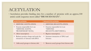 ACETYLATION
◦ Acetylation provides binding sites for a number of proteins with an approx.100
amino acids sequence most called “BROMODOMAIN”.
ACETYLATION DEACETYLATION
• HISTONE ACETYLATION • HISTONE DEACETYLATION
• Enzyme responsible for it are
“HISTONE ACETYL
TRANSFERASE”(HATs).
• Enzyme responsible for it are
“HISTONE
DEACETYLASES”(HDACs).
• Allow transcription • Repress transcription.
• Reduces positive charge and weak the
interaction of histones with DNA.
• Increases interaction of DNA and
histones.
• Adda acetyl groups to histone tails. • Removes acetyl groups from histone tails.
 