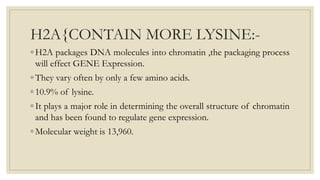 H2A{CONTAIN MORE LYSINE:-
◦ H2A packages DNA molecules into chromatin ,the packaging process
will effect GENE Expression.
◦ They vary often by only a few amino acids.
◦ 10.9% of lysine.
◦ It plays a major role in determining the overall structure of chromatin
and has been found to regulate gene expression.
◦ Molecular weight is 13,960.
 