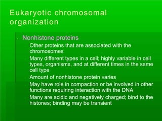 Eukaryotic chromosomal
organization
. Nonhistone proteins
. Other proteins that are associated with the
chromosomes
. Many different types in a cell; highly variable in cell
types, organisms, and at different times in the same
cell type
.
.
Amount of nonhistone protein varies
May have role in compaction or be involved in other
functions requiring interaction with the DNA
. Many are acidic and negatively charged; bind to the
histones; binding may be transient
 