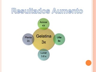 Gelatina
3x
Azúcar
4X
Uña
3x
Lunar
3.8 x
Planta
2x
 