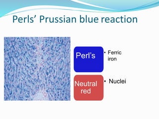 Perls Staining Histopatholgy staining by suchit kumar | PPTX
