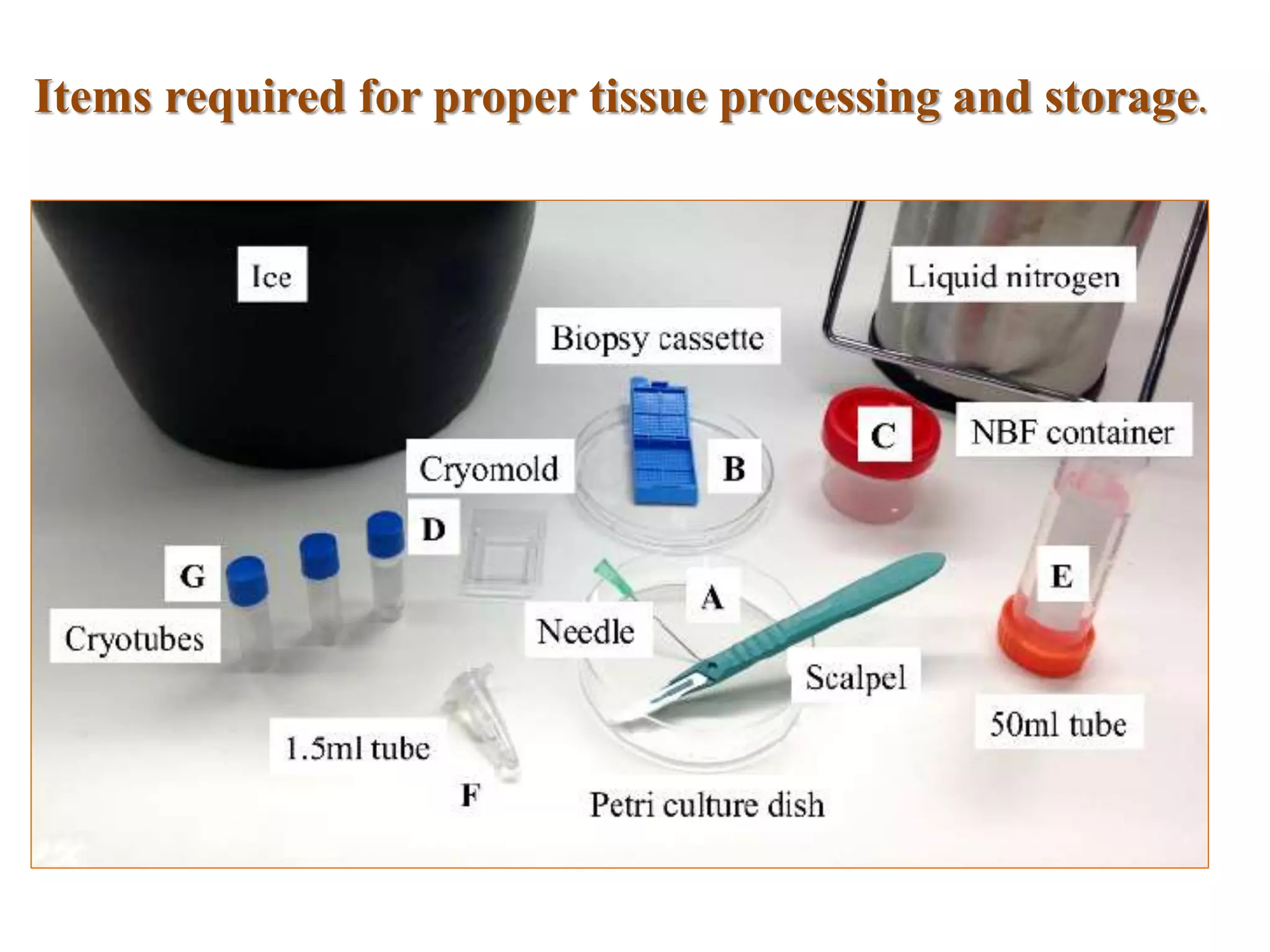 Items required for proper tissue processing and storage.
 