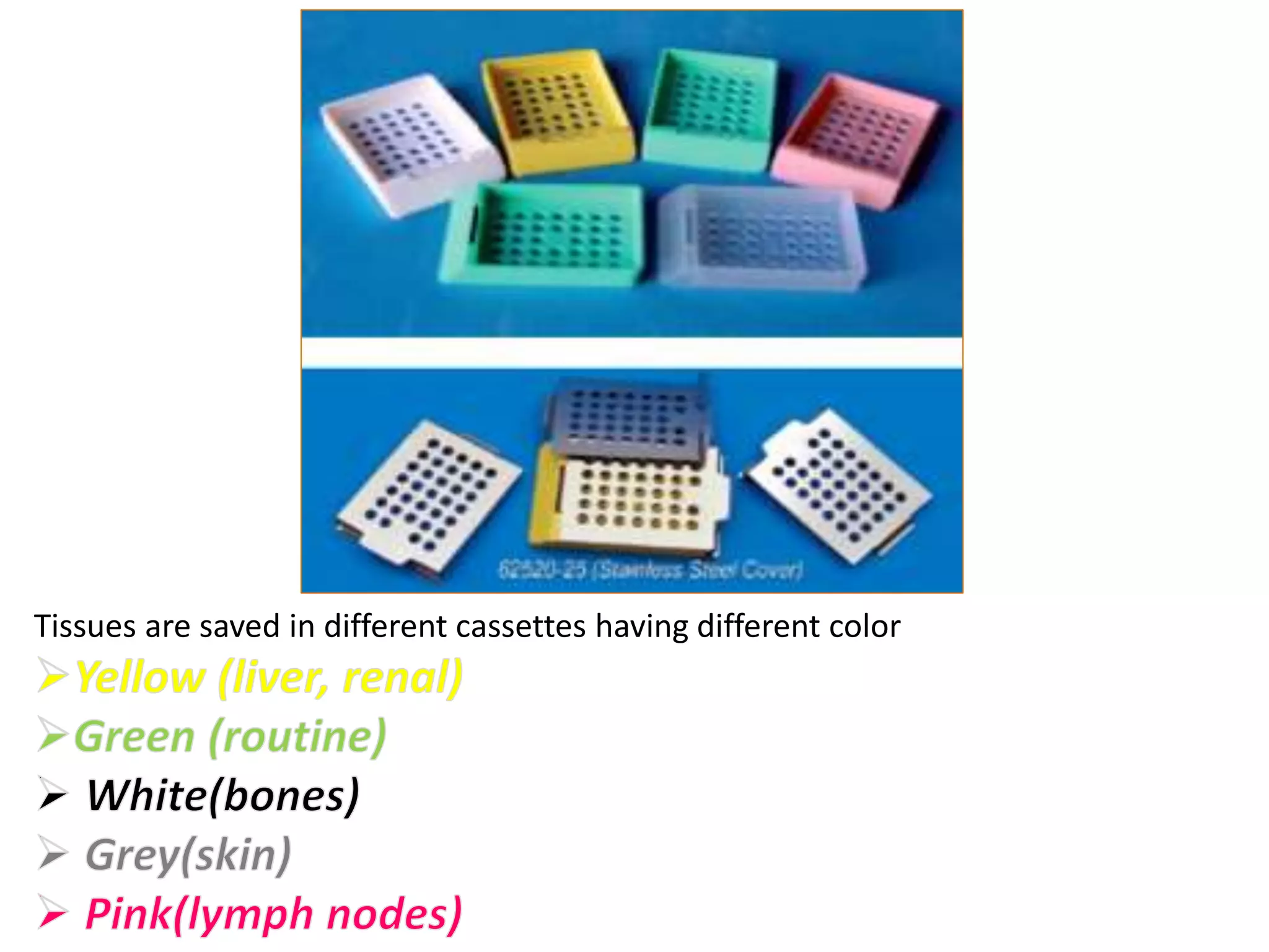 Tissues are saved in different cassettes having different color
 