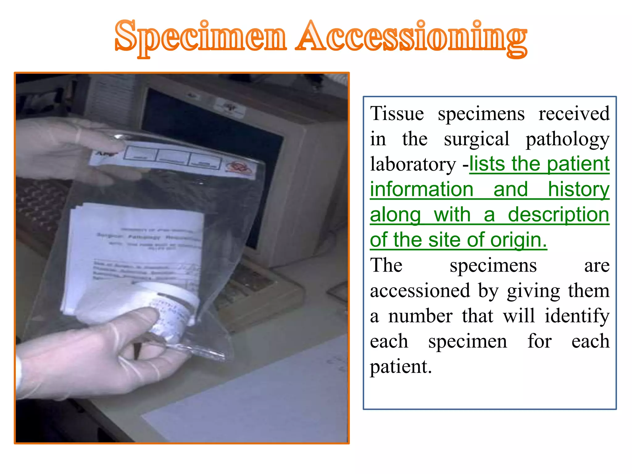 Tissue specimens received
in the surgical pathology
laboratory -lists the patient
information and history
along with a description
of the site of origin.
The specimens are
accessioned by giving them
a number that will identify
each specimen for each
patient.
 