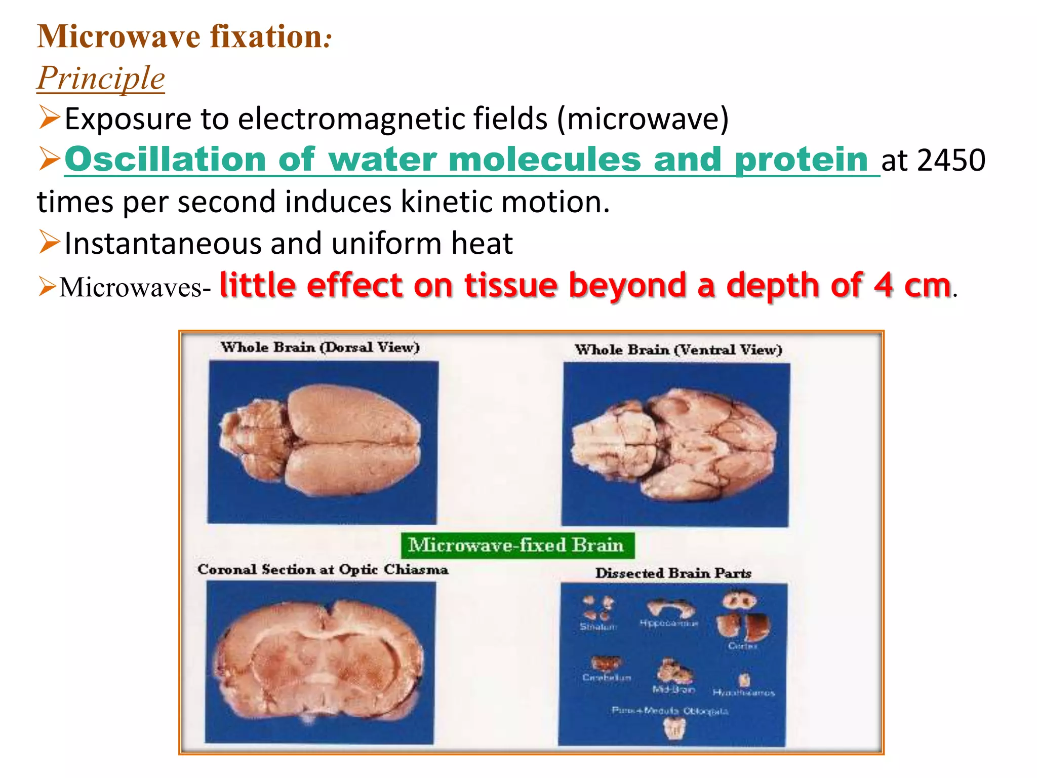Microwave fixation:
Principle
Exposure to electromagnetic fields (microwave)
Oscillation of water molecules and protein at 2450
times per second induces kinetic motion.
Instantaneous and uniform heat
Microwaves- little effect on tissue beyond a depth of 4 cm.
 