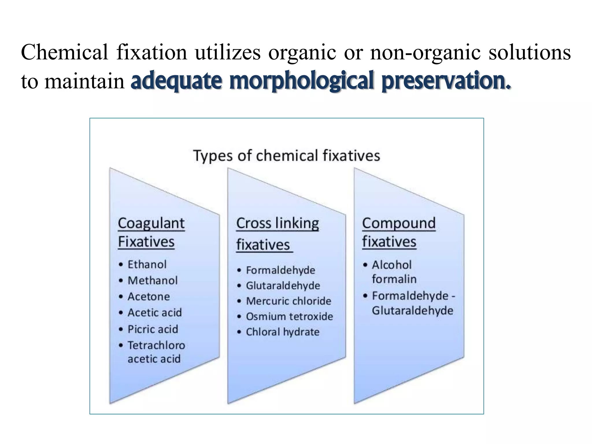 Chemical fixation utilizes organic or non-organic solutions
to maintain adequate morphological preservation.
 