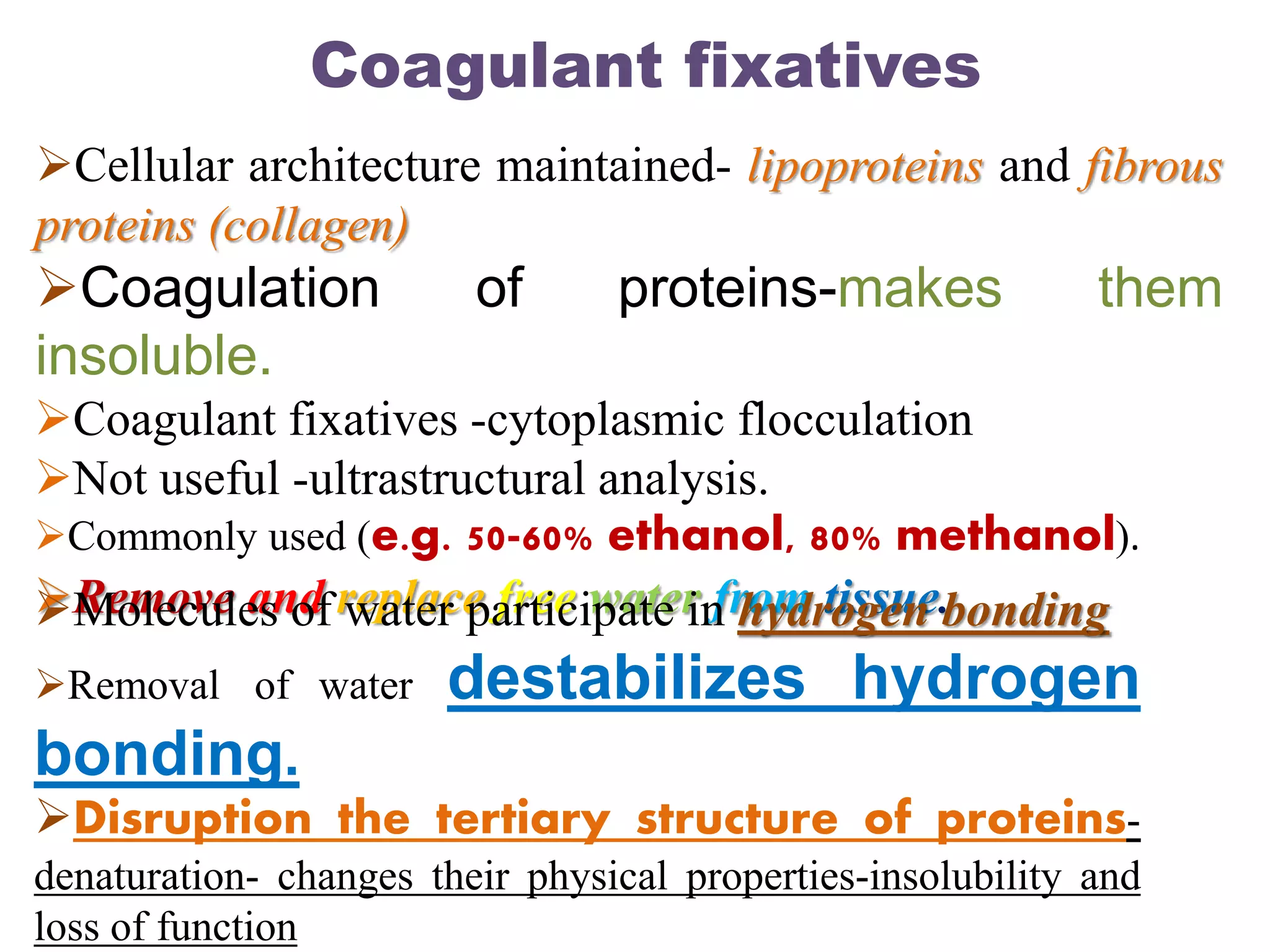 Cellular architecture maintained- lipoproteins and fibrous
proteins (collagen)
Coagulation of proteins-makes them
insoluble.
Coagulant fixatives -cytoplasmic flocculation
Not useful -ultrastructural analysis.
Commonly used (e.g. 50-60% ethanol, 80% methanol).
Remove and replace free water from tissue.
Coagulant fixatives
Molecules of water participate in hydrogen bonding
Removal of water destabilizes hydrogen
bonding.
Disruption the tertiary structure of proteins-
denaturation- changes their physical properties-insolubility and
loss of function
 