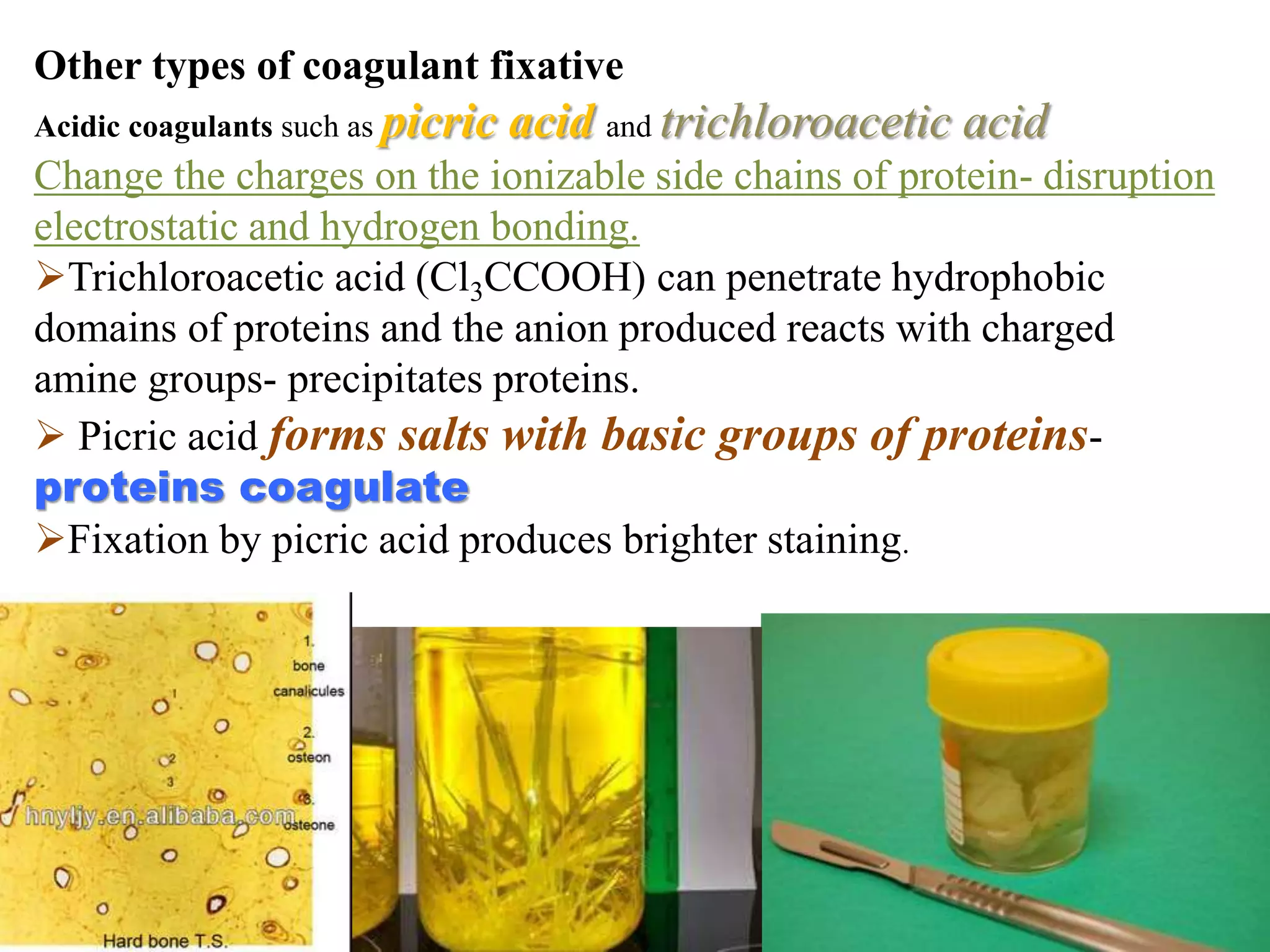 Other types of coagulant fixative
Acidic coagulants such as picric acid and trichloroacetic acid
Change the charges on the ionizable side chains of protein- disruption
electrostatic and hydrogen bonding.
Trichloroacetic acid (Cl3CCOOH) can penetrate hydrophobic
domains of proteins and the anion produced reacts with charged
amine groups- precipitates proteins.
 Picric acid forms salts with basic groups of proteins-
proteins coagulate
Fixation by picric acid produces brighter staining.
 