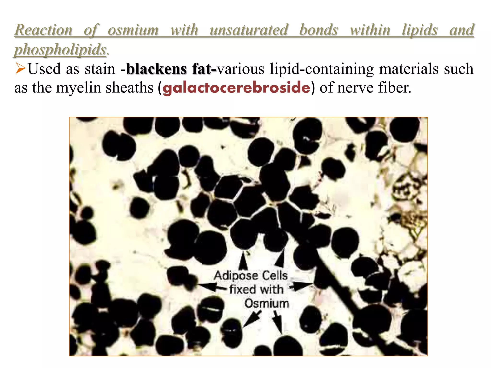 Reaction of osmium with unsaturated bonds within lipids and
phospholipids.
Used as stain -blackens fat-various lipid-containing materials such
as the myelin sheaths (galactocerebroside) of nerve fiber.
 