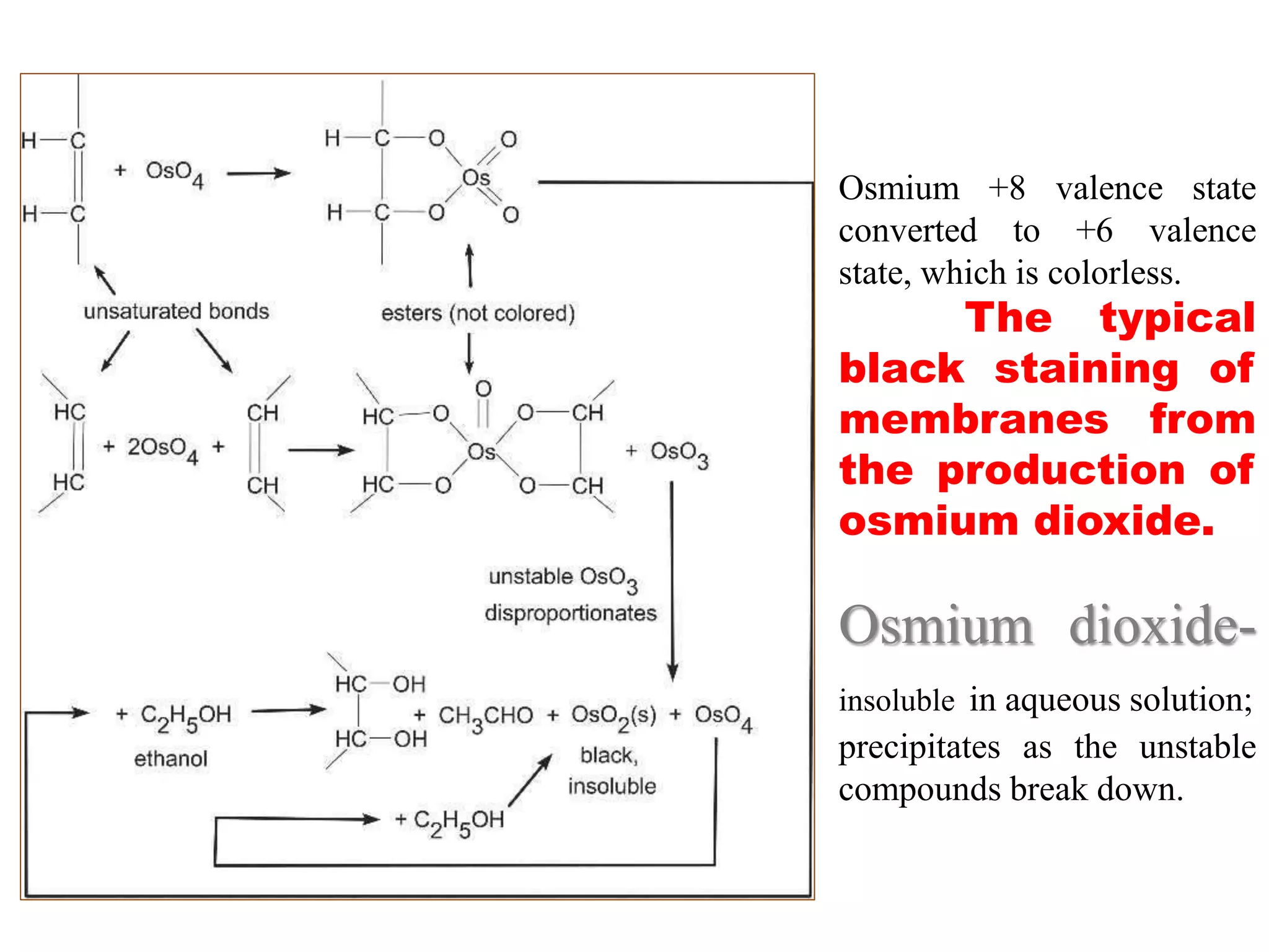 Osmium +8 valence state
converted to +6 valence
state, which is colorless.
The typical
black staining of
membranes from
the production of
osmium dioxide.
Osmium dioxide-
insoluble in aqueous solution;
precipitates as the unstable
compounds break down.
 