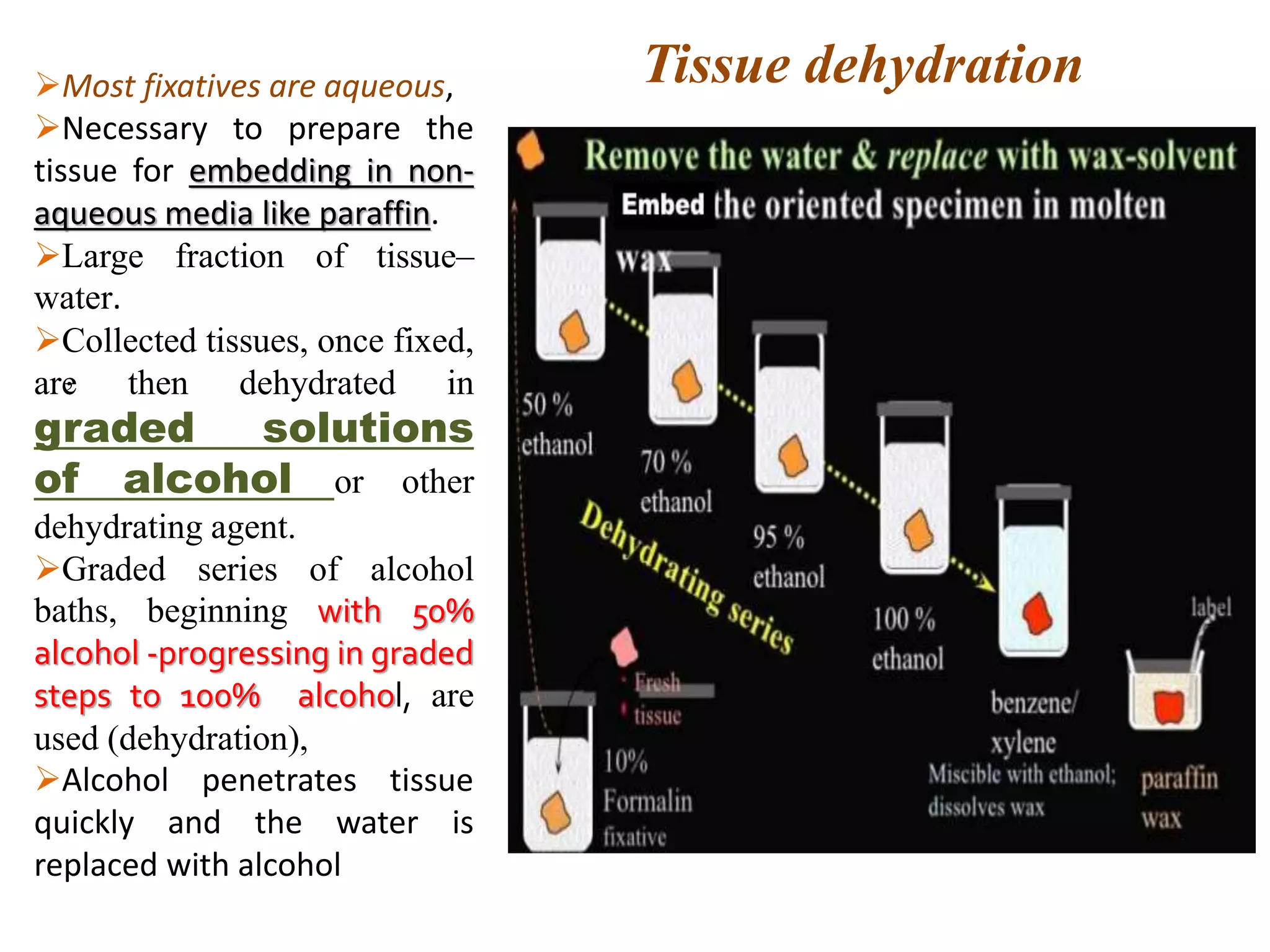 Most fixatives are aqueous,
Necessary to prepare the
tissue for embedding in non-
aqueous media like paraffin.
Large fraction of tissue–
water.
Collected tissues, once fixed,
are then dehydrated in
graded solutions
of alcohol or other
dehydrating agent.
Graded series of alcohol
baths, beginning with 50%
alcohol -progressing in graded
steps to 100% alcohol, are
used (dehydration),
Alcohol penetrates tissue
quickly and the water is
replaced with alcohol
,
Tissue dehydration
 
