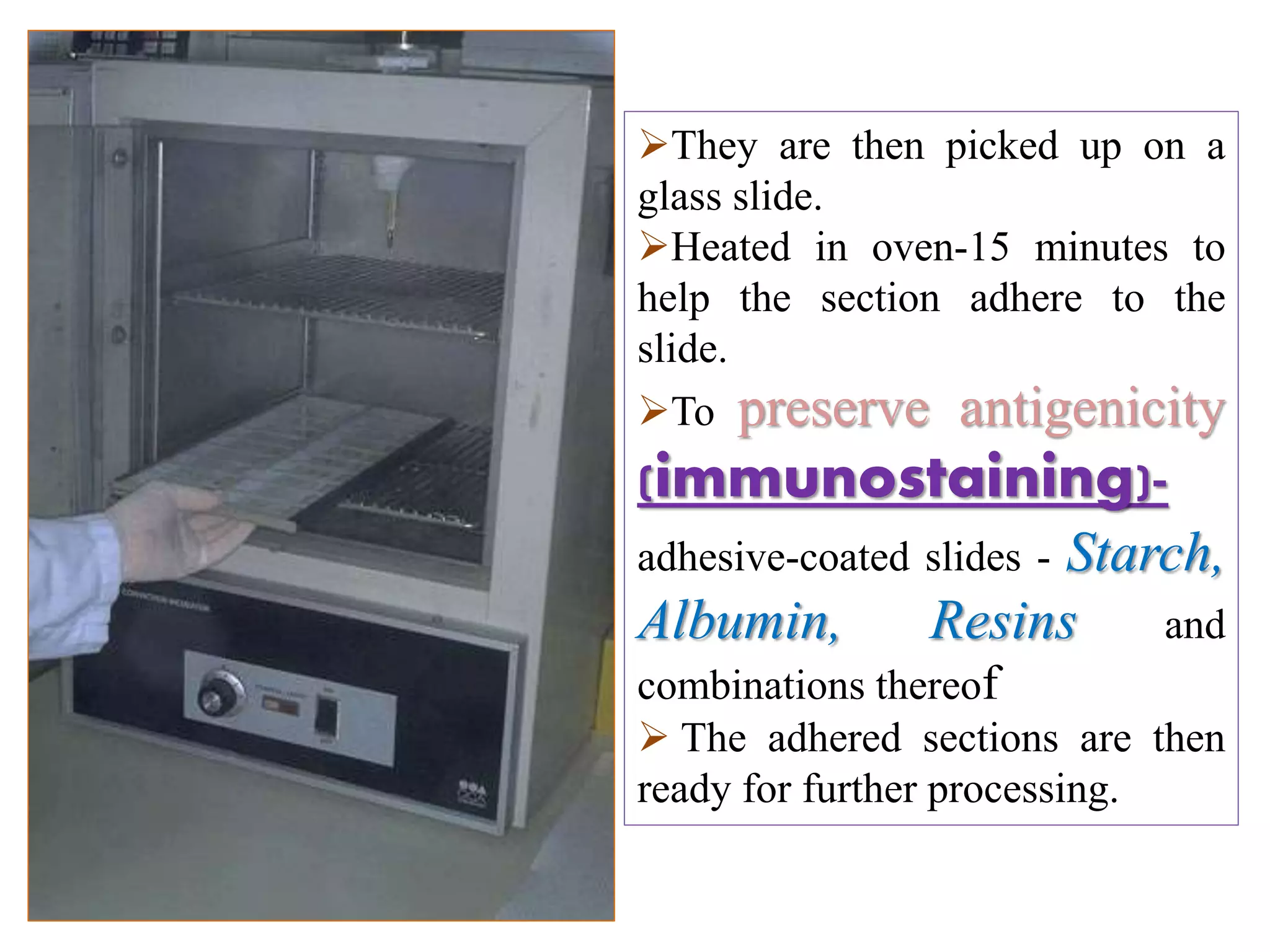 They are then picked up on a
glass slide.
Heated in oven-15 minutes to
help the section adhere to the
slide.
To preserve antigenicity
(immunostaining)-
adhesive-coated slides - Starch,
Albumin, Resins and
combinations thereof
 The adhered sections are then
ready for further processing.
 