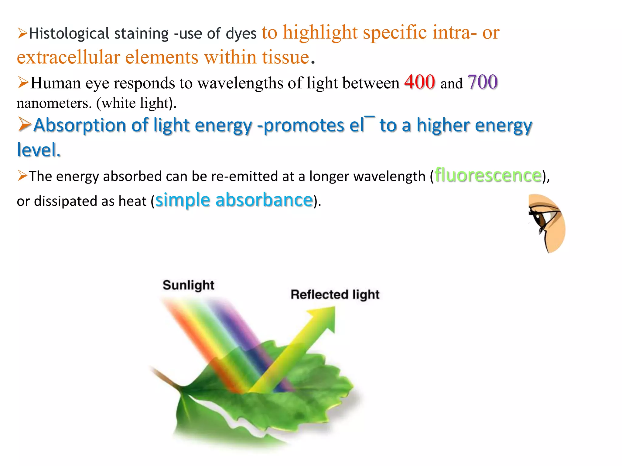 Histological staining -use of dyes to highlight specific intra- or
extracellular elements within tissue.
Human eye responds to wavelengths of light between 400 and 700
nanometers. (white light).
Absorption of light energy -promotes el‾ to a higher energy
level.
The energy absorbed can be re-emitted at a longer wavelength (fluorescence),
or dissipated as heat (simple absorbance).
 