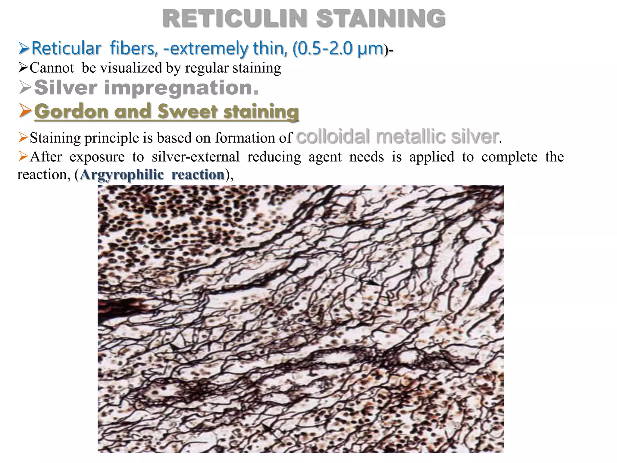 Reticular fibers, -extremely thin, (0.5-2.0 µm)-
Cannot be visualized by regular staining
Silver impregnation.
Gordon and Sweet staining
Staining principle is based on formation of colloidal metallic silver.
After exposure to silver-external reducing agent needs is applied to complete the
reaction, (Argyrophilic reaction),
RETICULIN STAINING
 