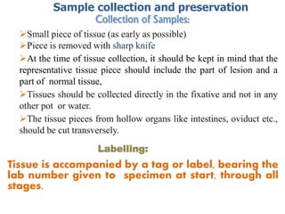 Collection of Samples:
Small piece of tissue (as early as possible)
Piece is removed with sharp knife
At the time of tissue collection, it should be kept in mind that the
representative tissue piece should include the part of lesion and a
part of normal tissue,
Tissues should be collected directly in the fixative and not in any
other pot or water.
The tissue pieces from hollow organs like intestines, oviduct etc.,
should be cut transversely.
Labelling:
Tissue is accompanied by a tag or label, bearing the
lab number given to specimen at start, through all
stages.
Sample collection and preservation
 
