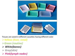 Tissues are saved in different cassettes having different color
 