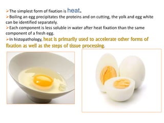 The simplest form of fixation is heat.
Boiling an egg precipitates the proteins and on cutting, the yolk and egg white
can be identified separately.
Each component is less soluble in water after heat fixation than the same
component of a fresh egg.
In histopathology, heat is primarily used to accelerate other forms of
fixation as well as the steps of tissue processing.
 