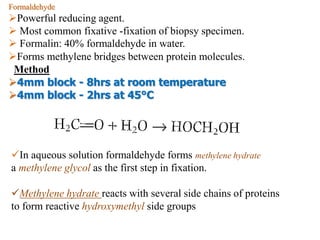 Formaldehyde
Powerful reducing agent.
 Most common fixative -fixation of biopsy specimen.
 Formalin: 40% formaldehyde in water.
Forms methylene bridges between protein molecules.
Method
4mm block - 8hrs at room temperature
4mm block - 2hrs at 45°C
In aqueous solution formaldehyde forms methylene hydrate
a methylene glycol as the first step in fixation.
Methylene hydrate reacts with several side chains of proteins
to form reactive hydroxymethyl side groups
 