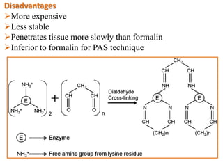 Disadvantages
More expensive
Less stable
Penetrates tissue more slowly than formalin
Inferior to formalin for PAS technique
 