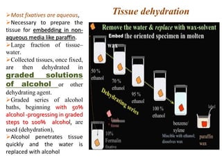 Most fixatives are aqueous,
Necessary to prepare the
tissue for embedding in non-
aqueous media like paraffin.
Large fraction of tissue–
water.
Collected tissues, once fixed,
are then dehydrated in
graded solutions
of alcohol or other
dehydrating agent.
Graded series of alcohol
baths, beginning with 50%
alcohol -progressing in graded
steps to 100% alcohol, are
used (dehydration),
Alcohol penetrates tissue
quickly and the water is
replaced with alcohol
,
Tissue dehydration
 