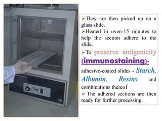 They are then picked up on a
glass slide.
Heated in oven-15 minutes to
help the section adhere to the
slide.
To preserve antigenicity
(immunostaining)-
adhesive-coated slides - Starch,
Albumin, Resins and
combinations thereof
 The adhered sections are then
ready for further processing.
 