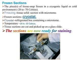 Frozen Sections
The piece(s) of tissue-snap frozen in a cryogenic liquid or cold
environment (-20 to -70 Celsius).
Freezing -tissue solid -section with microtome.
Frozen sections -cryostat.
Cryostat -refrigerated box containing a microtome.
Temperature --20 to -30 Celsius.
Tissue sections are cut and picked up on a glass slide.
The sections are now ready for staining.
 
