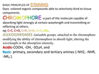 BASIC PRINCIPLES OF STAINING
Dyes -colored organic compounds able to selectively bind to tissue
components.
CHROMOPHORE-a part of the molecule capable of
absorbing light strongly at certain wavelength and transmitting or
reflecting at others.
eg; C=C, C=O, C=N, N=N, N=O, NO₂.
AUXOCHROMES -ionizable groups -attached to the chromophore
modifying the ability of chromophore to absorb light, altering the
wavelength or the absorption intensity.
Acidic-COOH, -OH, -SO₃H, and
Basic- primary, secondary and tertiary amines (-NH2, -NHR,
-NR₂ ).
 