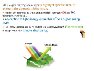 Histological staining -use of dyes to highlight specific intra- or
extracellular elements within tissue.
Human eye responds to wavelengths of light between 400 and 700
nanometers. (white light).
Absorption of light energy -promotes el‾ to a higher energy
level.
The energy absorbed can be re-emitted at a longer wavelength (fluorescence),
or dissipated as heat (simple absorbance).
 