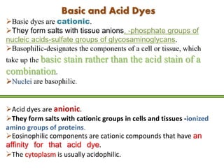 Basic and Acid Dyes
Basic dyes are cationic.
They form salts with tissue anions, -phosphate groups of
nucleic acids-sulfate groups of glycosaminoglycans.
Basophilic-designates the components of a cell or tissue, which
take up the basic stain rather than the acid stain of a
combination.
Nuclei are basophilic.
Acid dyes are anionic.
They form salts with cationic groups in cells and tissues -ionized
amino groups of proteins.
Eosinophilic components are cationic compounds that have an
affinity for that acid dye.
The cytoplasm is usually acidophilic.
 