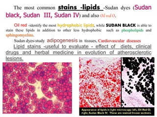 The most common stains -lipids -Sudan dyes (Sudan
black, Sudan III, Sudan IV) and also Oil red O.
Oil red -identify the most hydrophobic lipids, while SUDAN BLACK is able to
stain these lipids in addition to other less hydrophobic such as phospholipids and
sphingomyelins.
Sudan dyes-study adipogenesis in tissues, Cardiovascular diseases
Lipid stains -useful to evaluate - effect of diets, clinical
drugs and herbal medicine in evolution of atherosclerotic
lesions.
 