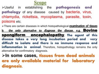 Scope
Useful in establishing the pathogenesis and
pathology of any disease caused by bacteria, virus,
chlamydia, rickettsia, mycoplasma, parasite, toxin,
poisons etc.
There are certain diseases in which histopathological examination of tissues
is the only alternative to diagnose the disease. e.g. Bovine
spongiform encephalopathy. The agent of this
disease takes a very long incubation period and very
difficult to isolate and there is no immune response and
inflammation in animal. Therefore, histopathology remains the only
alternative for confirmatory diagnosis.
In some cases, tissues from dead animals
are only available material for laboratory
diagnosis.
 